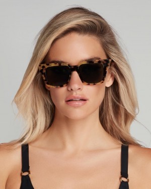 Agent Provocateur Debie Sunglasses レディース サングラス Tortoise/Black 日本 | R8E-7634