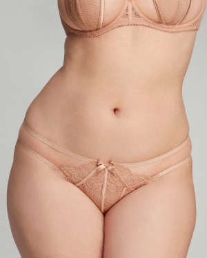 Agent Provocateur Rozlyn Full Brief レディース ブリーフ Praline 日本 | X1D-9312