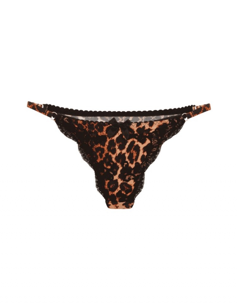 Agent Provocateur Molly Full Brief レディース ブリーフ ひょう 日本 | C9B-7878