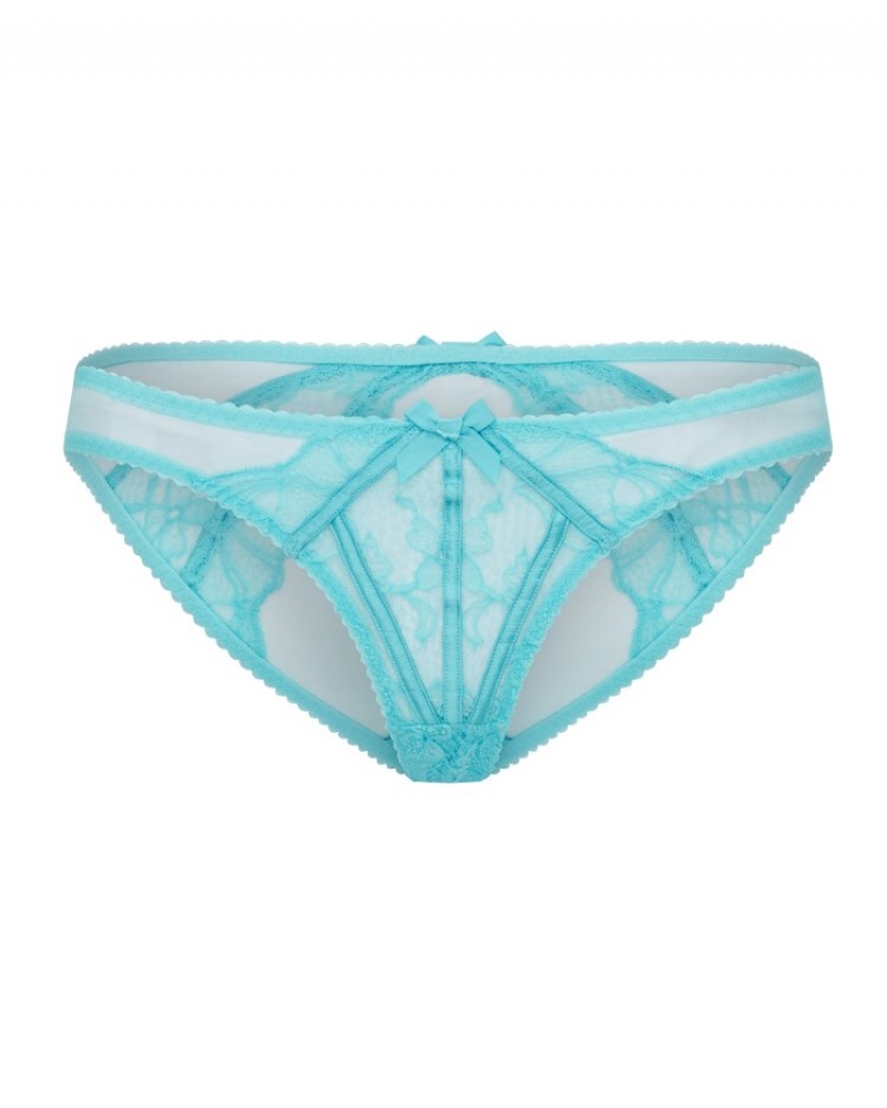 Agent Provocateur Rozlyn Full Brief レディース ブリーフ ターコイズ 日本 | R5Y-4459