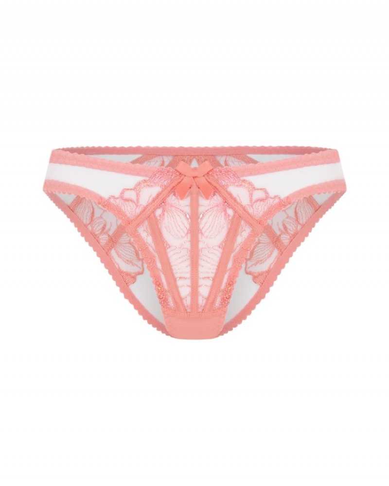 Agent Provocateur Sabinah Full Brief レディース ブリーフ コーラル 色 日本 | P0A-0068