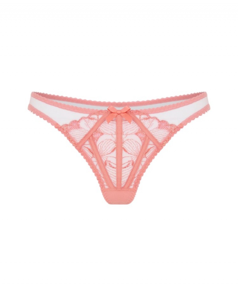 Agent Provocateur Sabinah Full Brief レディース ブリーフ コーラル 色 日本 | P0A-0068