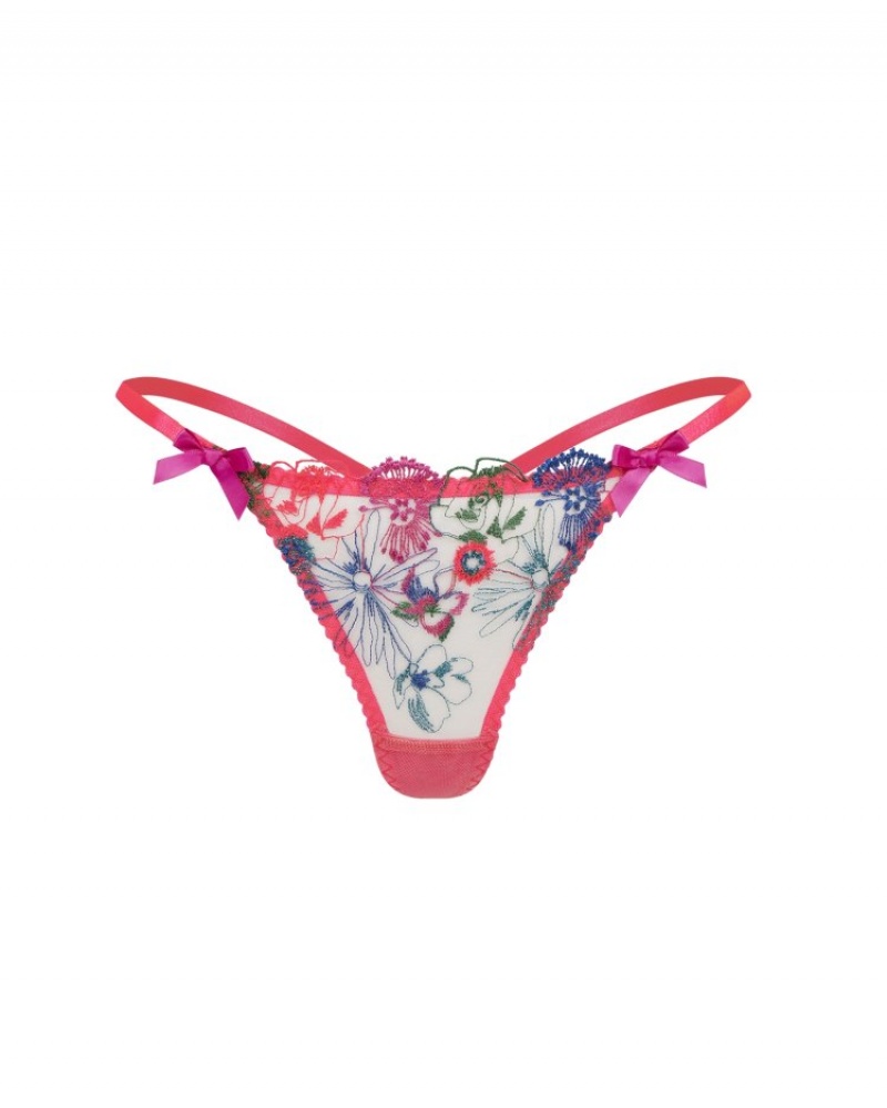 Agent Provocateur Zuri ひも レディース Tバック Orange/Teal/Pink 日本 | Q3V-1404